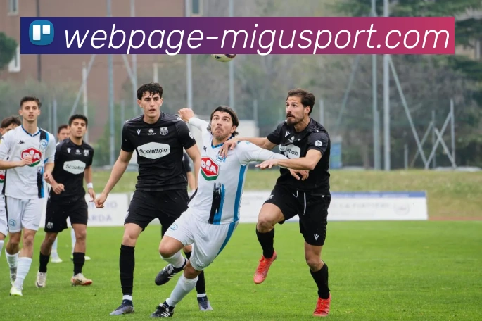 咪咕体育直播平台生态图